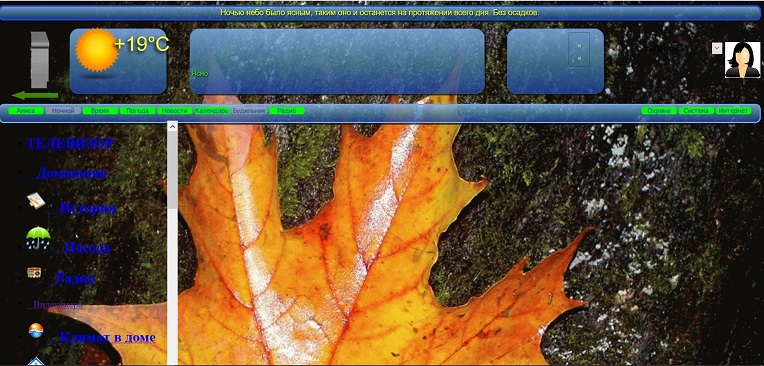 Алиска поломалась