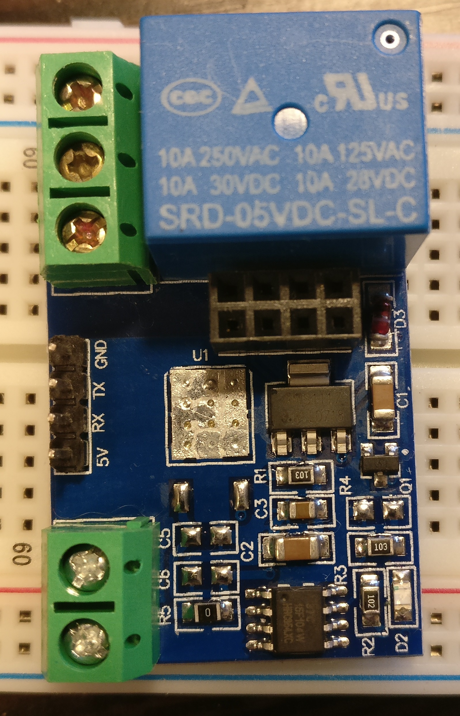 2019-02-05 20.01.40.jpg