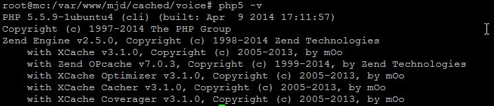 2014-05-22 10_56_44-mRemoteNG - confCons.xml.jpg